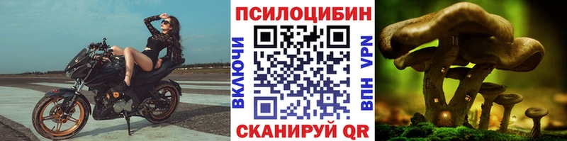 Купить  Лабинск  Галлюциногенные грибы ЛСД 
